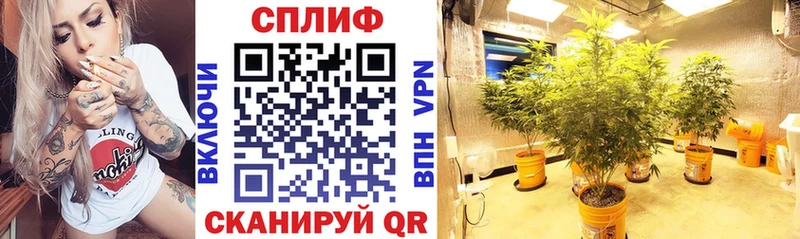 Наркошоп купить APVP  Меф  АМФЕТАМИН  Конопля  Темрюк