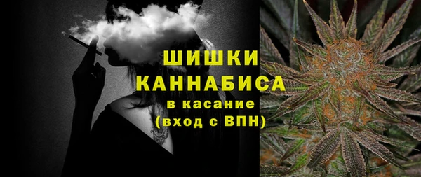 2c-b Белокуриха