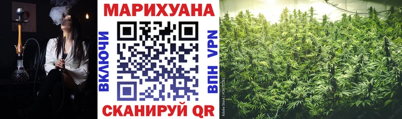 Купить где  Темрюк  Конопля OG Kush 